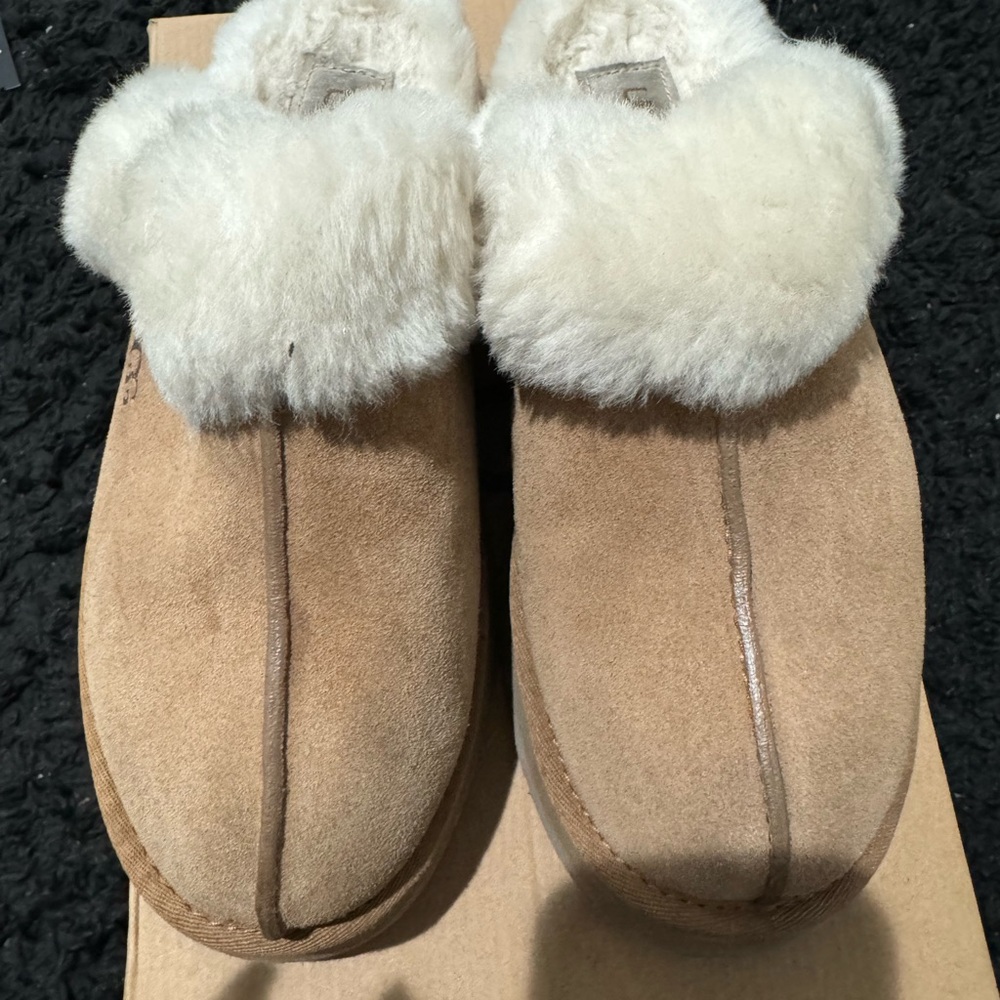Ugg Disquette Women's Slippers